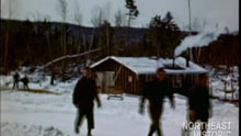Load and play video in Gallery viewer, King Spruce