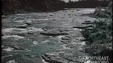 Load and play video in Gallery viewer, The Story of Wood in the Northeast