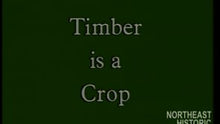 Load and play video in Gallery viewer, Timber is a Crop: Pulpwood Harvesting in the 1940s and 1950s