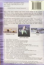 Load image into Gallery viewer, Salt & Friends: Humpback Whales with Names