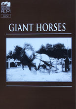 Load image into Gallery viewer, Giant Horses
