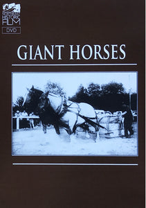 Giant Horses