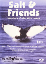 Load image into Gallery viewer, Salt &amp; Friends: Humpback Whales with Names

