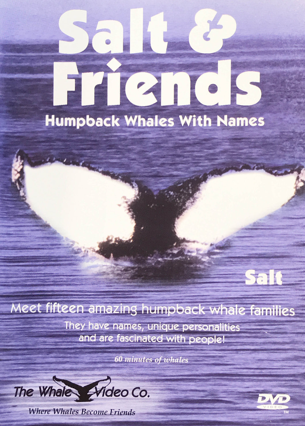 Salt & Friends: Humpback Whales with Names